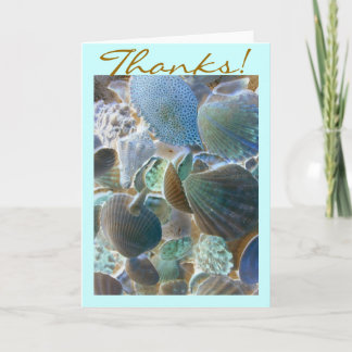 Beach Shells Thank You card