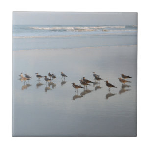 Beach Shore Birds Nature Photo Scenic Coastal  Tile