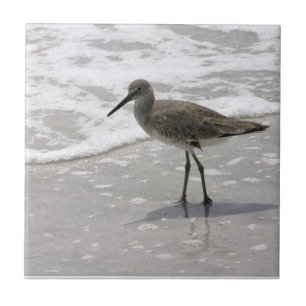 Beach Shorebirds Ceramic Tile Trivet