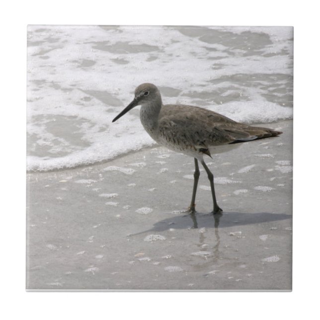 Beach Shorebirds Ceramic Tile Trivet (Front)