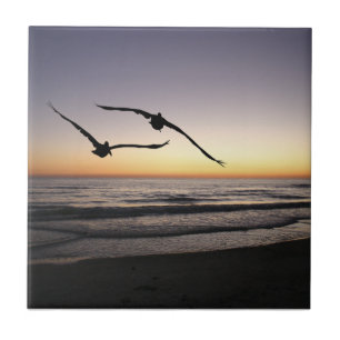 Beach Shorebirds Ceramic Tile Trivet