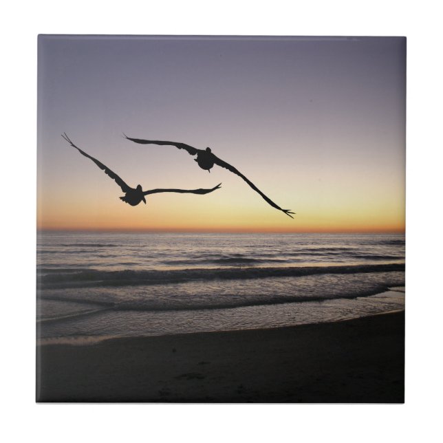 Beach Shorebirds Ceramic Tile Trivet (Front)