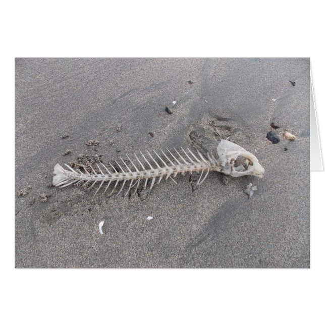Beach Skeleton (Front Horizontal)