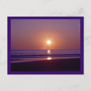 Beach Sun Postcard