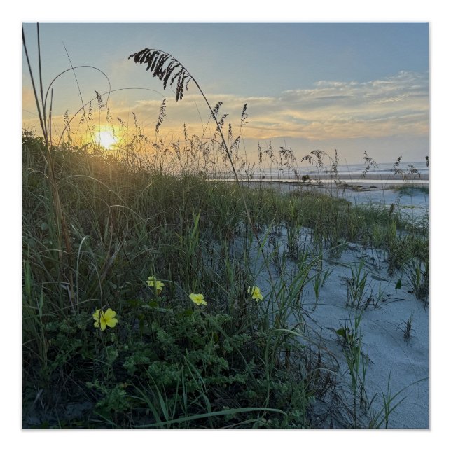 Beach Sunrise Over Dunes Poster (Front)