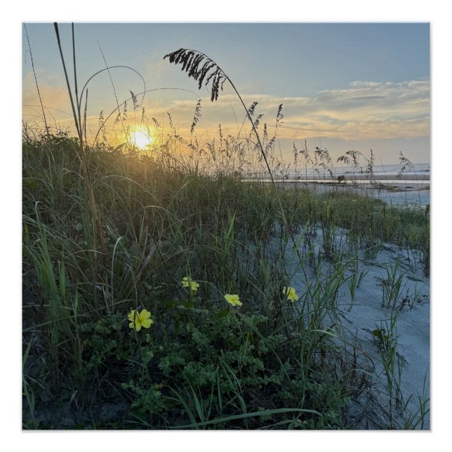 Beach Sunrise Over Dunes Poster (Front)