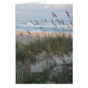 Beach Sunset