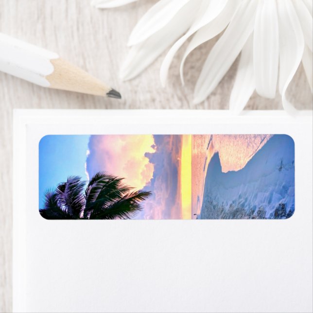 Beach Sunset ocean sand palm tree Maldives Miami (Insitu)