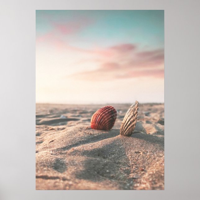 Beach Sunset Sea Shell Beach Photography Poster (Front)