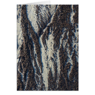 beach textures with seaweed