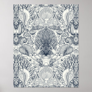 Beach treasures, seashells, crab, corals and seawe poster