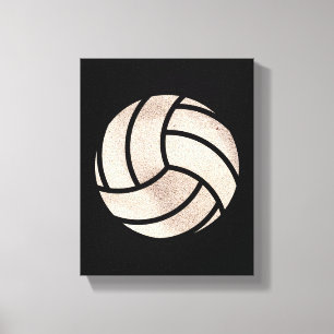 Beach Volley Ball  Canvas Print