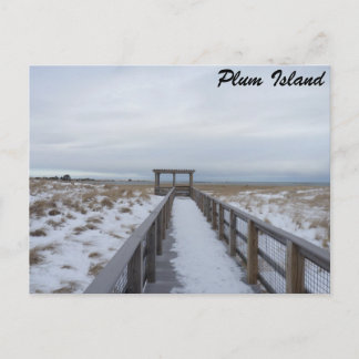 Beach Walkway Postcard