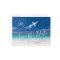 Beach Wedding Save the Date Airplane Destination