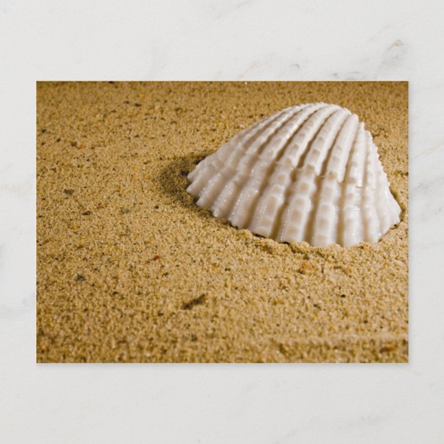 Beach Wedding Tropical RSVP Invitation (Front)