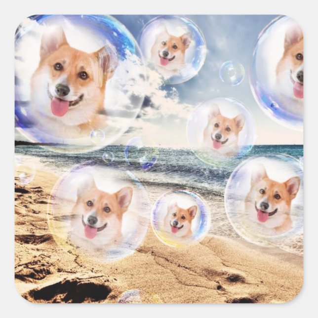 Beach Welsh Corgis Square Sticker (Front)