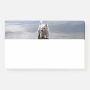 Beach Westie Reflection Stationery Notes