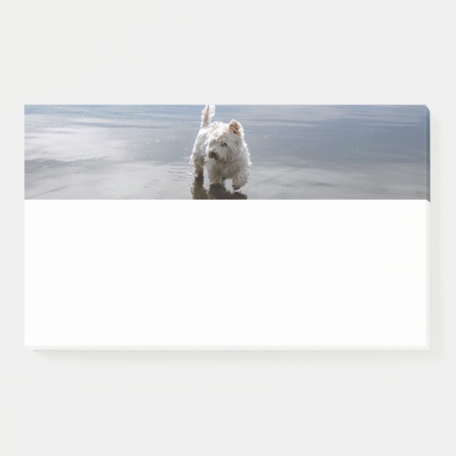 Beach Westie Reflection Stationery Notes (Front)