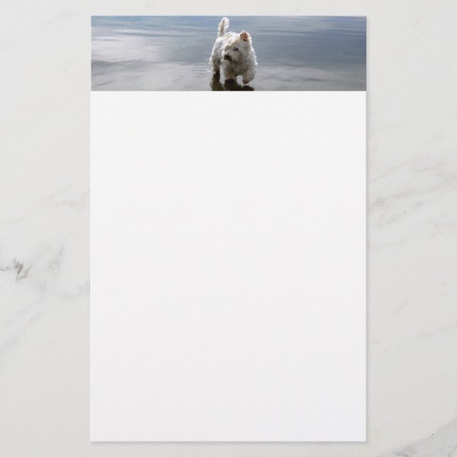 Beach Westie Reflection Stationery Paper (Front)