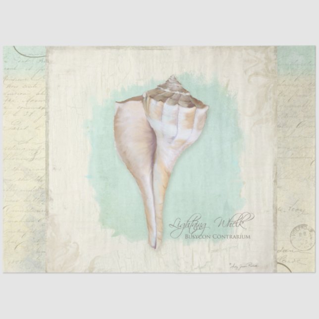 Beach Whelk Shell Aqua Blue Watercolor Decoupage Tissue Paper (Front)