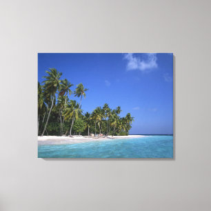 Beach with palm trees, Maldives Canvas Print