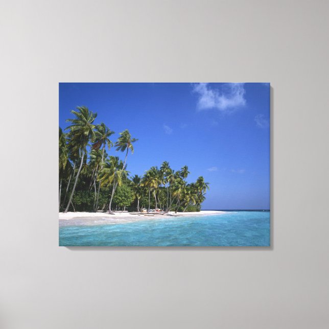 Beach with palm trees, Maldives Canvas Print (Front)