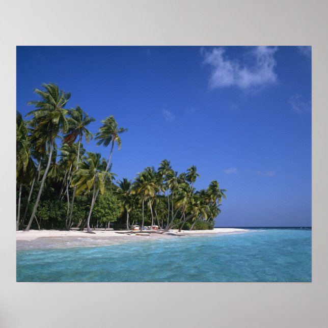 Beach with palm trees, Maldives Poster (Front)
