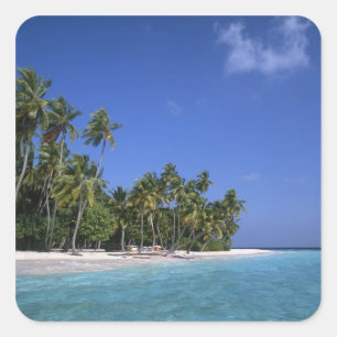 Beach with palm trees, Maldives Square Sticker