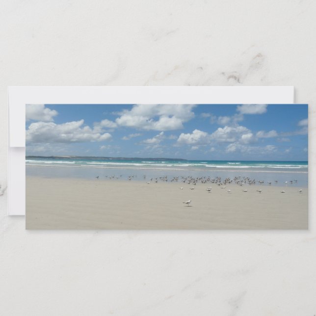 Beach with Seagulls (Front)