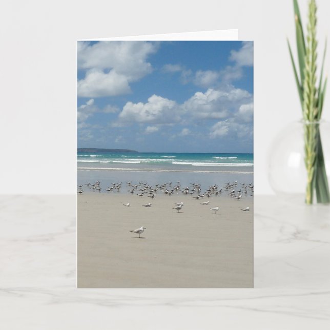 Beach with Seagulls Card (Front)