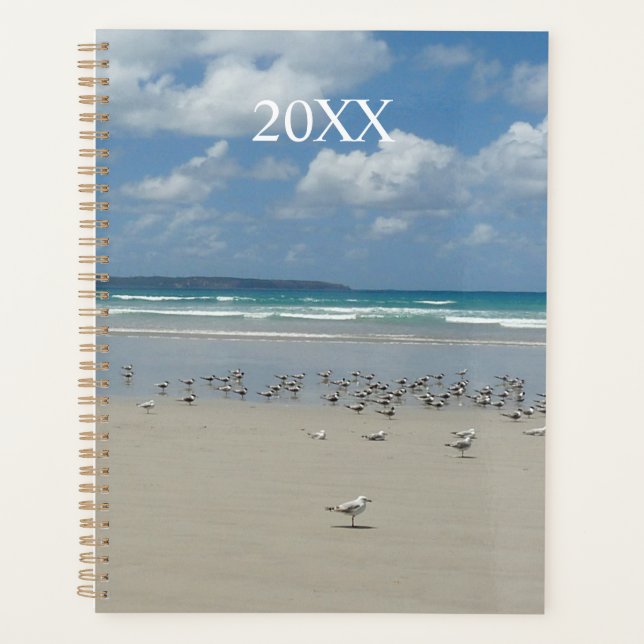 Beach with Seagulls Planner (Front)