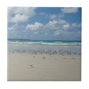 Beach with Seagulls Tile