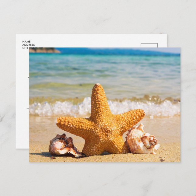 Beach with Starfish and Seashells Bridal Shower Invitation Postcard (Front/Back)