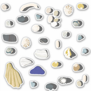 Beachcombing Shells and Pebbles