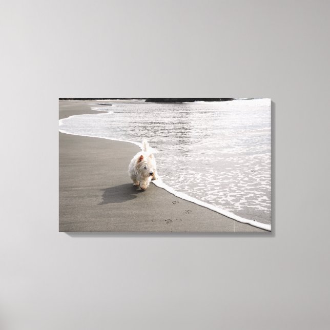 Beachcombing Westie Canvas Print (Front)