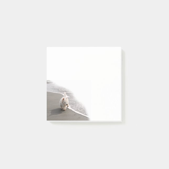 Beachcombing Westie Photo 3x3 Notes (Front)