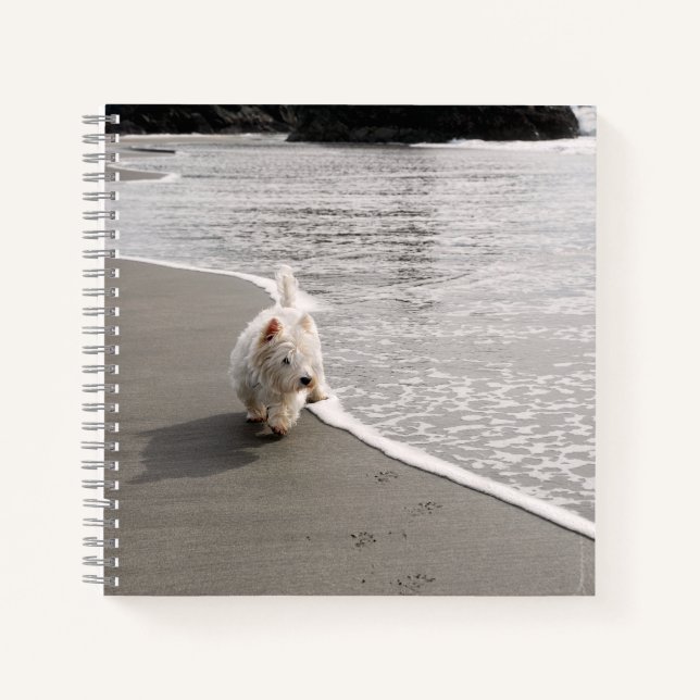 Beachcombing Westie Photo 8x8 Journal Carré (Devant)