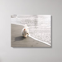 Beachcombing Westie Photo Canvas Print