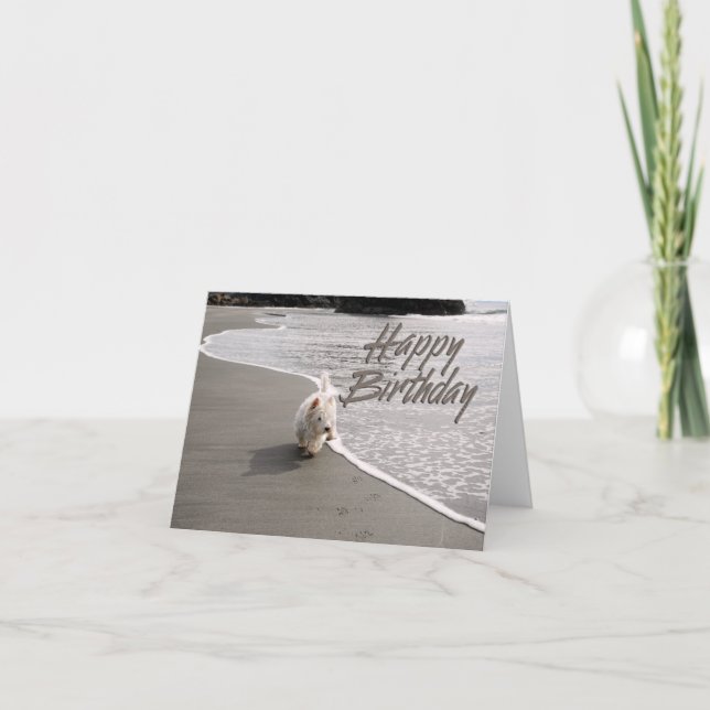 Beachcombing Westie Photo Carte Anniversaire (Devant)