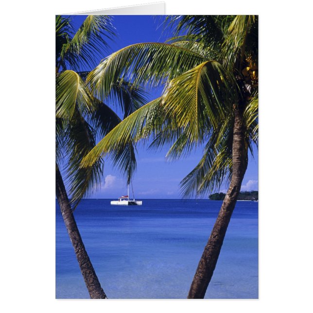 Beaches at Negril, Jamaica (Front)