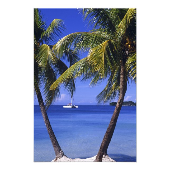 Beaches at Negril, Jamaica Photo Print (Front)