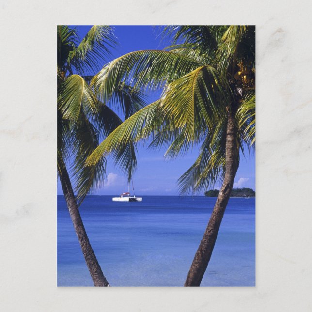 Beaches at Negril, Jamaica Postcard (Front)