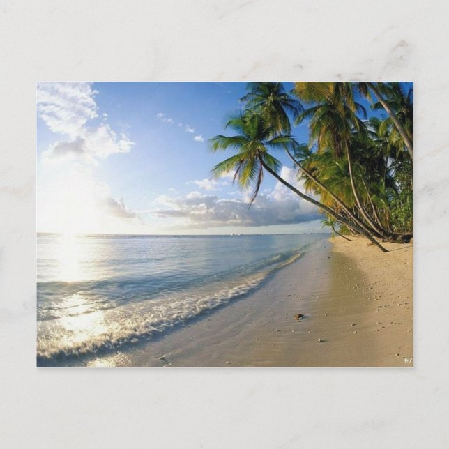 beaches postcard (Front)