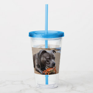 "Beachside Pals: A Staffy and Its Crab Companion" Acrylic Tumbler