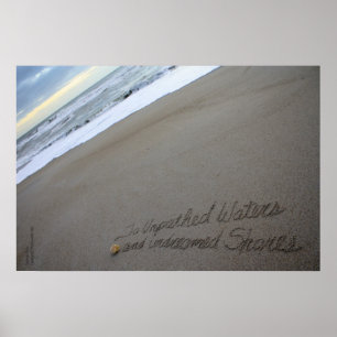 Beachwrite's Shakespeare Unpathed Waters Poster