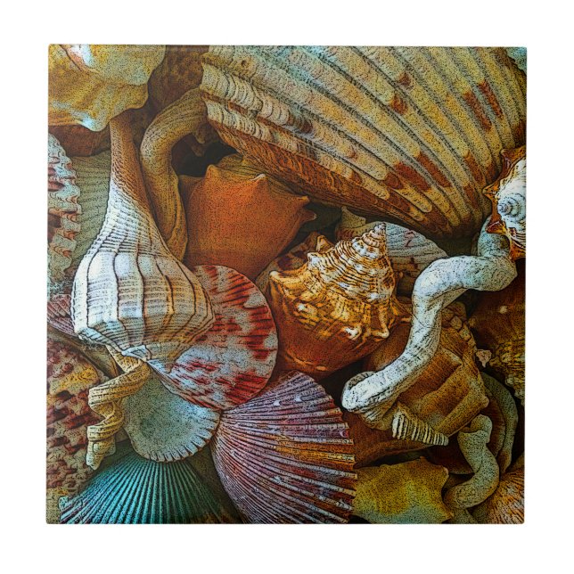 Beachy Seashells Tile (Front)