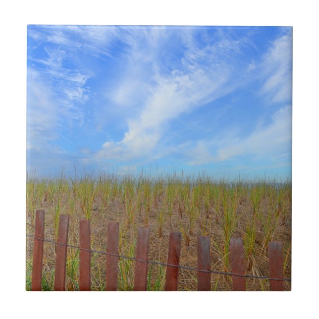 Beachy Tile From Hammonasset (Front)