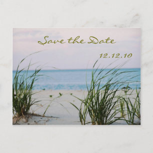 Beachy Wedding Announcement Postcard