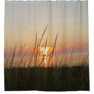 Beachy Weeds blowing in the Sunset