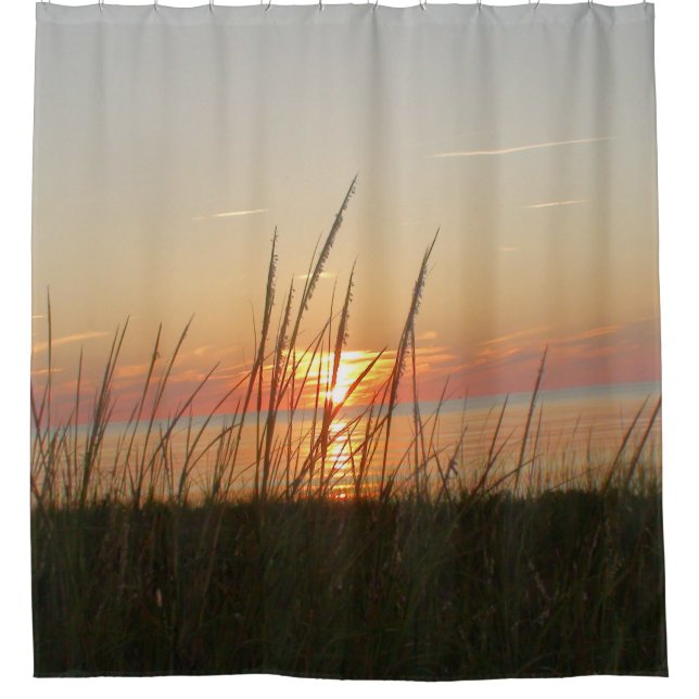 Beachy Weeds blowing in the Sunset (Front)